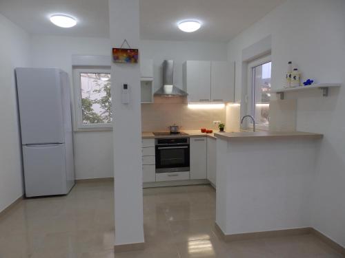 Kuchyňa alebo kuchynka v ubytovaní Apartments by the sea Savar, Dugi otok - 11540