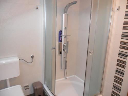 a bathroom with a shower and a toilet at Apartments by the sea Senj - 11606 in Senj