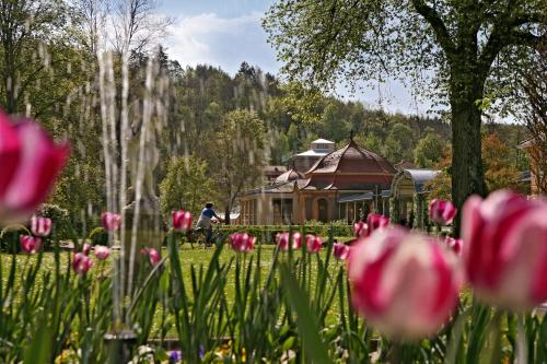 a field of pink tulips in front of a house at Badhotel Bad Brückenau in Staatsbad Brückenau