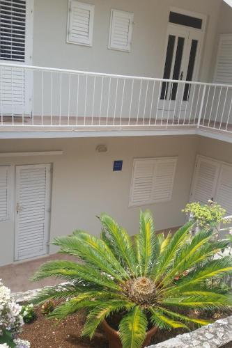 Apartments by the sea Podgora, Makarska - 13864