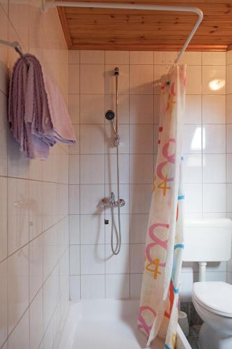 a bathroom with a shower with a toilet and a shower curtain at Apartment Smoljanac 14023a in Smoljanac
