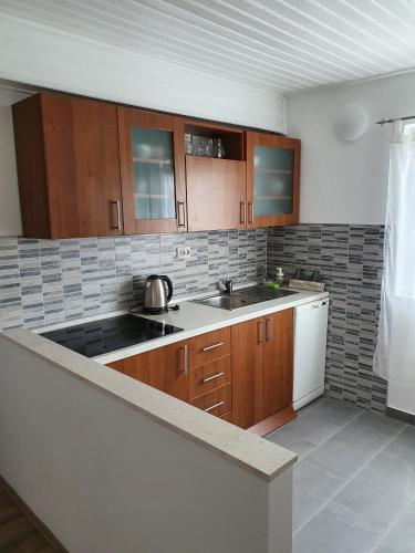 Kuchyň nebo kuchyňský kout v ubytování Apartments by the sea Tucepi, Makarska - 2699