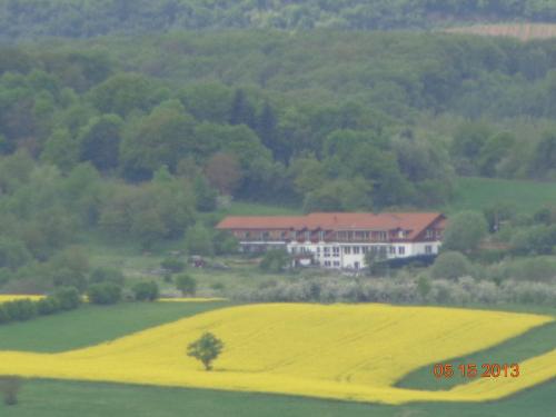 a large house in the middle of a yellow field at Hotel Leo's Ruh in Waldböckelheim