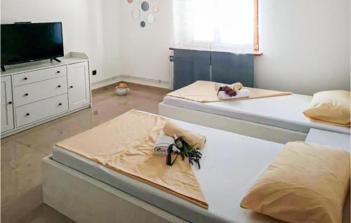 two beds in a room with a tv at Amazing Home In Novo Selo With Wifi in Novo Selo
