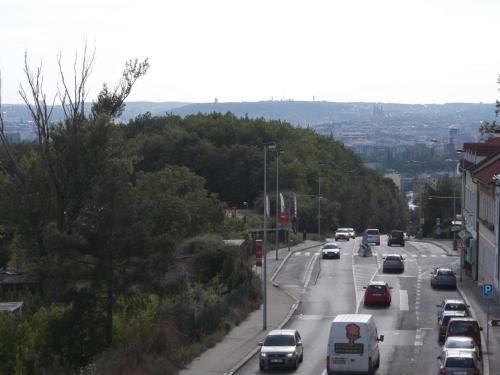 a street with cars driving down a road with trees at Pension Dobroucky in Prague