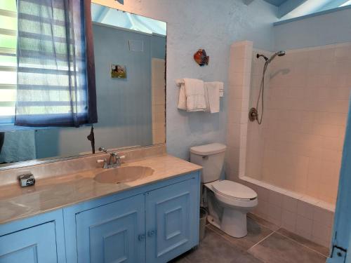 a bathroom with a sink and a toilet and a shower at The View in Christiansted