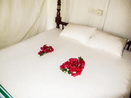 C-Lanka Guest House – Photos 4