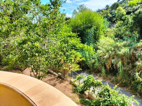 a view of a garden with trees and a fence at Appartamenti MiNuMa Tropea in Tropea
