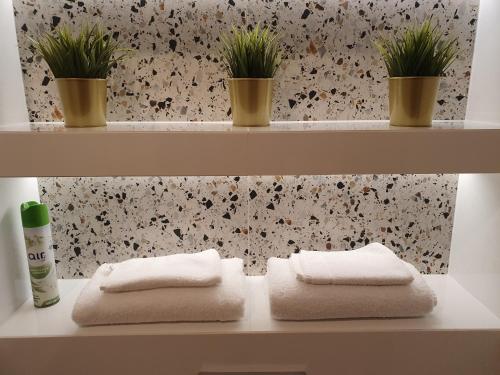 półka z dwoma ręcznikami i dwoma roślinami na niej w obiekcie Nowe Ptasie, Osiedle Ptasie, apartment 30, NEW - LUX - PARKING w mieście Katowice