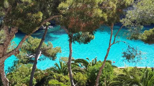 a view of a blue pool of water between trees at Hotel Pinos Playa in Cala Santanyi
