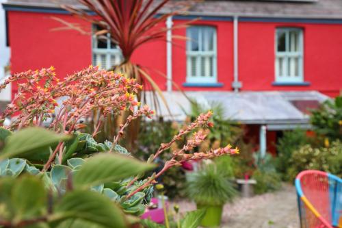 a red house with a red plant in front of it at Western House in Llangennith