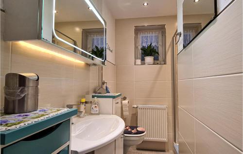 een badkamer met een wastafel, een toilet en een spiegel bij 2 Bedroom Cozy Apartment In Suhl in Suhl
