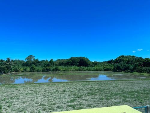 a pond in the middle of a field at 太魯閣惠宇民宿 in Xincheng
