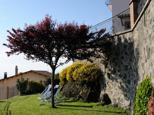 a tree in the grass next to a wall at Villa dei Fantasmi in Rocca di Papa