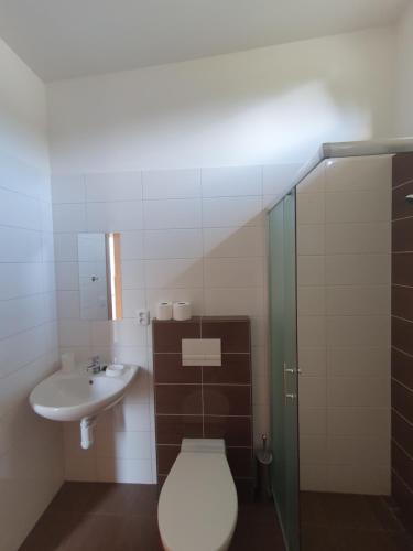a bathroom with a toilet and a sink at Kemp Lučina in Horní Soběšovice