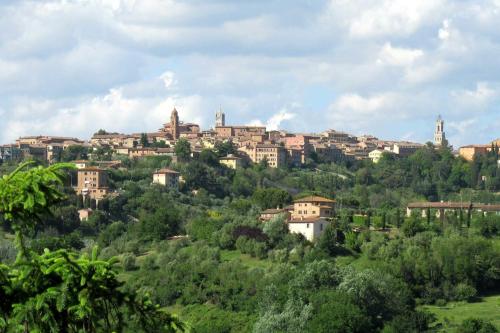 a town on top of a hill with trees at Agriturismo La Torretta in Siena