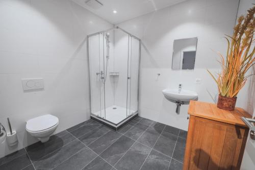 a bathroom with a shower and a toilet and a sink at Pit Stop Apartments in Cham