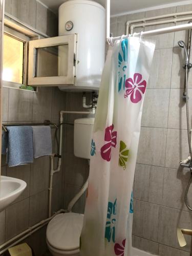 a bathroom with a toilet and a shower curtain at Kuca za odmor Davidovic in Despotovac