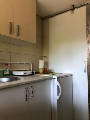 a kitchen with a sink and a counter top at Kuca za odmor Davidovic in Despotovac