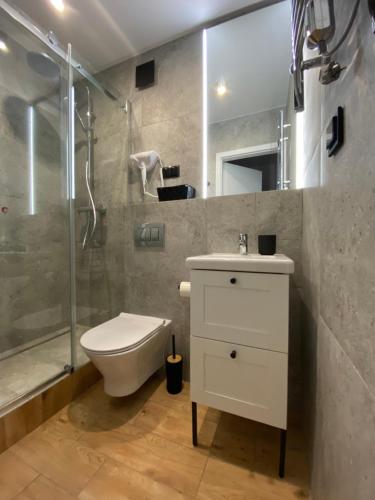 a bathroom with a shower and a toilet and a sink at La Playa Apartments in Hel