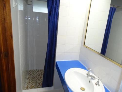 ein Badezimmer mit einem blauen Waschbecken und einer Dusche in der Unterkunft Gayndah A Motel in Gayndah