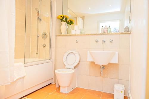 Un baño con inodoro, lavabo y ducha. en 2 Bedroom Chinatown Apartment, en Birmingham