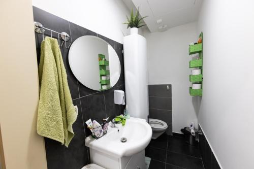 een badkamer met een witte wastafel en een spiegel bij Rooms Viktorin in Ptuj