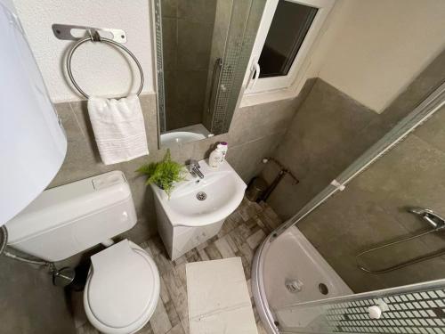 La salle de bains est pourvue de toilettes, d'un lavabo et d'une douche. dans l'établissement Vila Enjoy, à Văliug