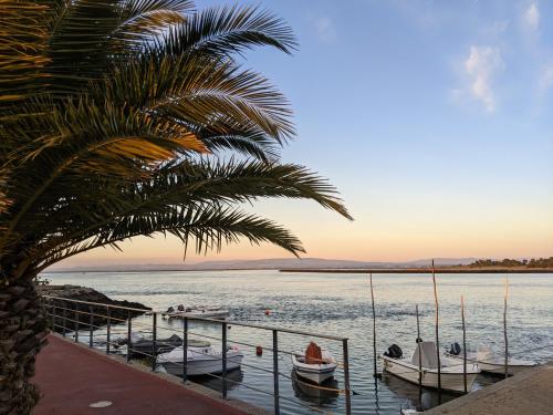 Foto Casa dos Jacintos - São Jacinto, Aveiro 6