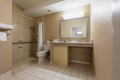 a bathroom with a toilet and a sink and a mirror at Holiday Inn South Plainfield-Piscataway, an IHG Hotel in South Plainfield