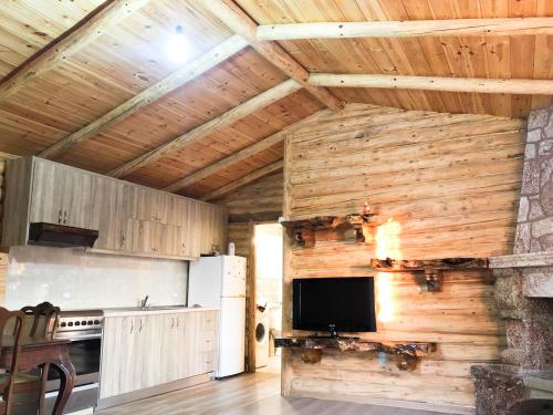 een keuken met een houten muur en een tv. bij Lodges VEIS in Kamenicë