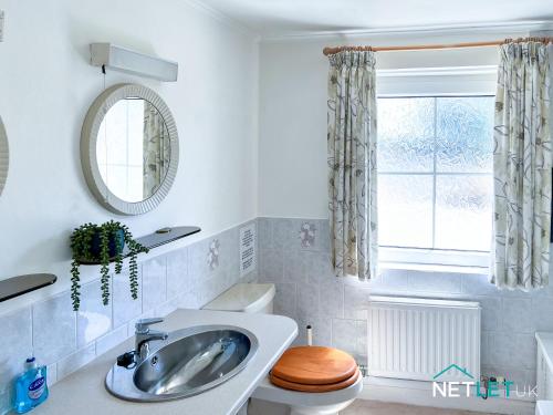 a bathroom with a sink and a toilet and a mirror at Island View in St. Davids