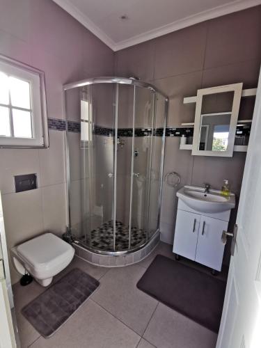 a bathroom with a shower and a toilet and a sink at Zebra Place in Cape Town
