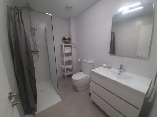 ein Bad mit einem WC, einem Waschbecken und einer Dusche in der Unterkunft Sol Playa Suites in Valencia