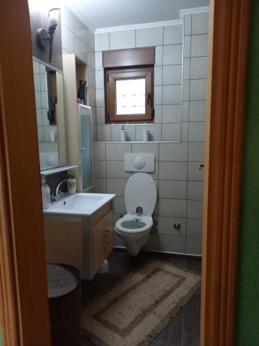 Koupelna v ubytování Villa Drinski biser sa bazenom