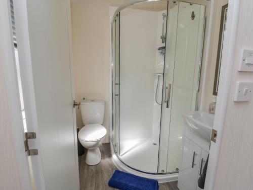 a bathroom with a toilet and a glass shower at Brighter Daze in Bridlington