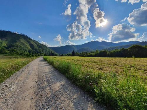 a dirt road in a field with mountains in the background at The Green House - Apuseni Mountains in Pietroasa
