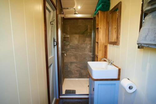 a small bathroom with a sink and a shower at Beech Shepherds Hut in Dittisham