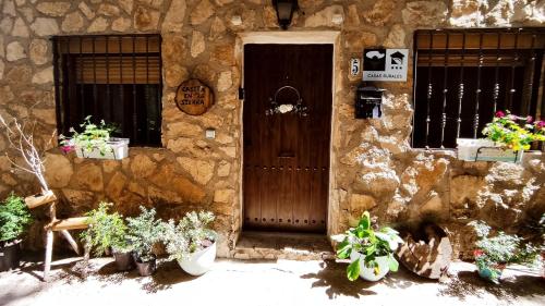 ein Steinhaus mit Holztür und einigen Pflanzen in der Unterkunft Casita en la Sierra in Tragacete