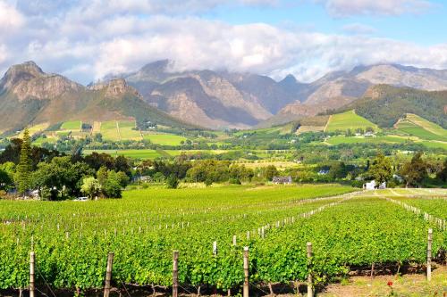 a view of a vineyard with mountains in the background at Le Petit Bijou Boutique Apartments - Solar Power in Franschhoek