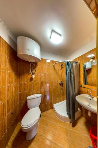 a bathroom with a toilet and a sink at Vidéki Megálló Vendégház in Alsónémedi