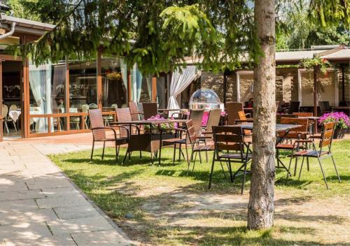 Zahrada ubytování Hotel Pod Kasztanami