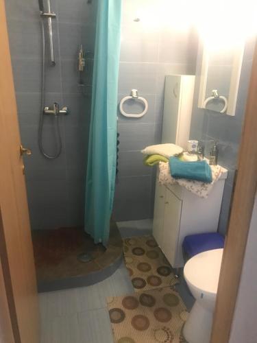 ein Bad mit einer Dusche, einem Waschbecken und einem WC in der Unterkunft family studio cluj-napoca in Cluj-Napoca