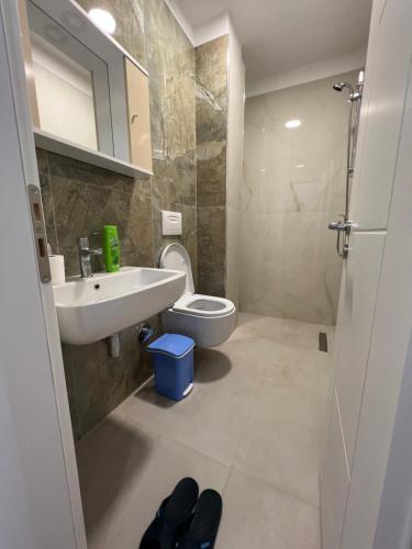 a bathroom with a sink and a toilet at Bujtina Celiku in Burrel