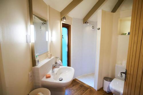 a bathroom with a sink and a toilet and a mirror at Woodpecker Treehouse in Dittisham