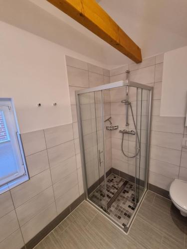 a shower with a glass door in a bathroom at Lüttje Deichkieker in Greetsiel