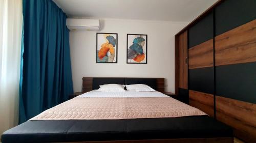 a bedroom with a bed and two paintings on the wall at CasaNova in Sînmartin