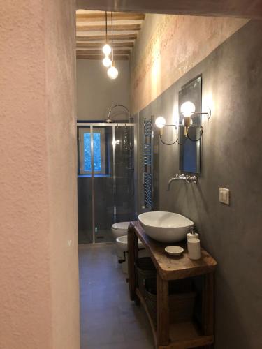 e bagno con lavandino, servizi igienici e doccia. di Corte Bargagli, dolce casa in palazzo toscano a Sarteano