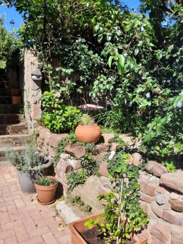 a garden with potted plants and a stone wall at Studio tout confort 2 personnes au coeur de l'Alsace in Wolxheim