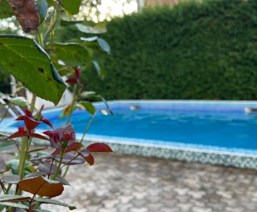 Bazén v ubytování 3 Bedroom Apartment with pool nebo v jeho okolí